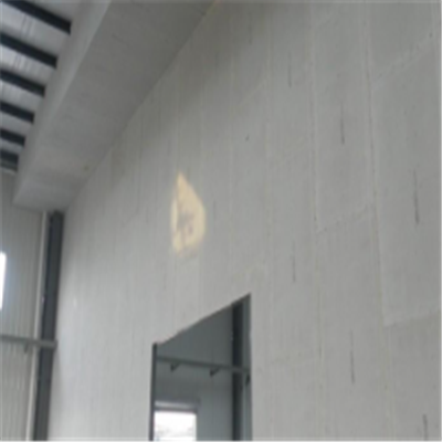 田阳宁波ALC板|EPS加气板隔墙与混凝土整浇联接的实验研讨